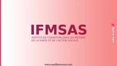 دليل مباراة ولوج معاهد التكوين في مهن الصحة والعمل الاجتماعي IFMSAS 2026