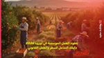عقود العمل الموسمية في أوروبا 2026: دليلك الشامل للسفر والعمل القانوني