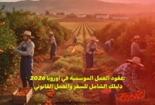 عقود العمل الموسمية في أوروبا 2026: دليلك الشامل للسفر والعمل القانوني