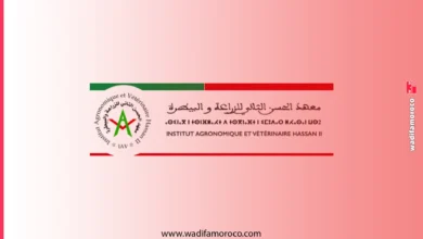 التسجيل في معهد الحسن الثاني للزراعة والبيطرة (المركب البستني بأكادير) وأيت ملول 2026-2027 2 مباراة سلك التقني المتخصص بمعهد الحسن الثاني للزراعة والبيطرة بأكادير ومعهد أيت ملول 2026-2027