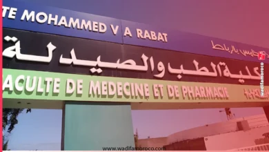 ولوج كليات الطب والصيدلة وطب الأسنان 2026-2027 2 شروط وإجراءات مباراة ولوج كليات الطب والصيدلة وطب الأسنان 2026-2027
