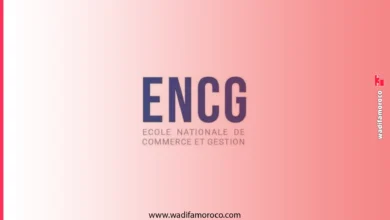 مباراة ولوج المدارس الوطنية للتجارة والتسيير ENCG 2026-2027 2 مباراة ولوج المدارس الوطنية للتجارة والتسيير ENCG 2026-2027