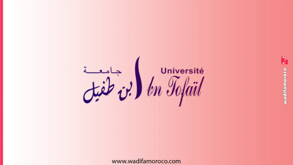 التسجيل بسلك الدكتوراه بجامعة ابن طفيل بالقنيطرة 2026-2027 1 التسجيل بسلك الدكتوراه بجامعة ابن طفيل بالقنيطرة 2026-2027