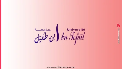 التسجيل بسلك الدكتوراه بجامعة ابن طفيل بالقنيطرة 2026-2027 2 التسجيل بسلك الدكتوراه بجامعة ابن طفيل بالقنيطرة 2026-2027