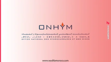 المكتب الوطني للهيدروكربورات والمناجم ONHYM - إعلانات توظيف 29 منصب 3 المكتب الوطني للهيدروكربورات والمناجم (ONHYM - إعلانات توظيف 29 منصب