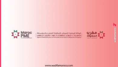 مباراة توظيف 24 إطارا بالوكالة الوطنية للنهوض بالمقاولة الصغرى والمتوسطة 2026 2 مباراة توظيف 24 إطارا بالوكالة الوطنية للنهوض بالمقاولة الصغرى والمتوسطة 2026
