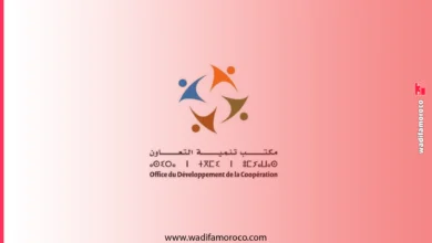 مباراة توظيف مهندسين ومتصرفين بمكتب تنمية التعاون 2026 (18 منصباً)