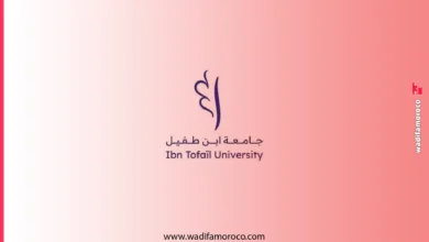 التسجيل في ماسترات جامعة ابن طفيل القنيطرة Ibn Tofail 2026-2027 2 التسجيل في ماسترات جامعة ابن طفيل القنيطرة Ibn Tofail 2026-2027