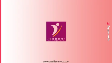 anapec - مباريات توظيف مهندسي دولة، ومتصرفين، وتقنيين - 86 منصبًا 1 أنابيك - مباريات توظيف مهندسي دولة، ومتصرفين، وتقنيين - 86 منصبًا